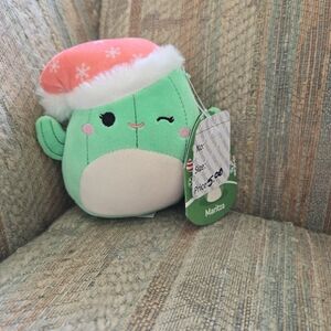 Cactus squishmallow